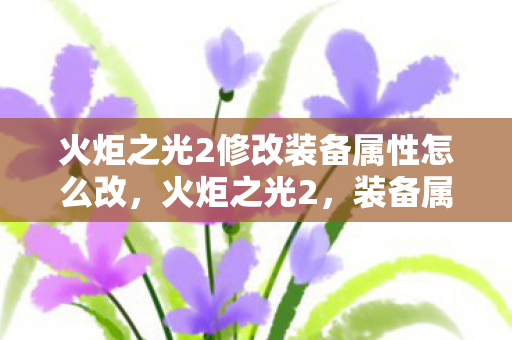 火炬之光2修改装备属性怎么改,火炬之光2,装备属性修改的艺术与风险 火炬之光2修改装备属性怎么改,火炬之光2,装备属性修改的艺术与风险