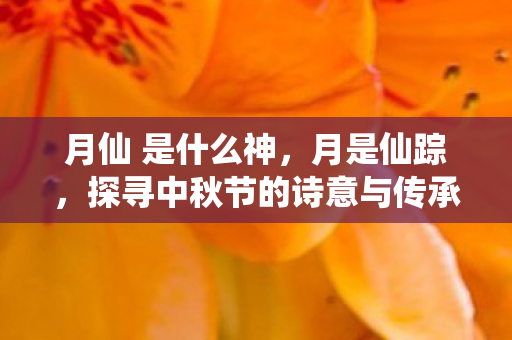 月仙 是什么神，月是仙踪，探寻中秋节的诗意与传承