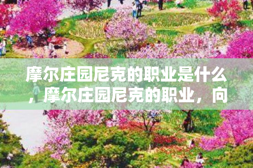 摩尔庄园尼克的职业是什么，摩尔庄园尼克的职业，向导的多样魅力