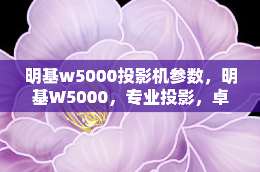 明基w5000投影机参数，明基W5000，专业投影，卓越画质
