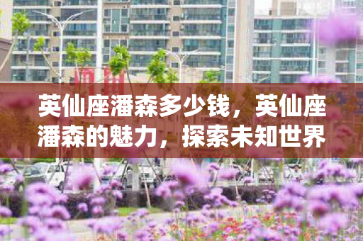 英仙座潘森多少钱，英仙座潘森的魅力，探索未知世界的奇幻之旅