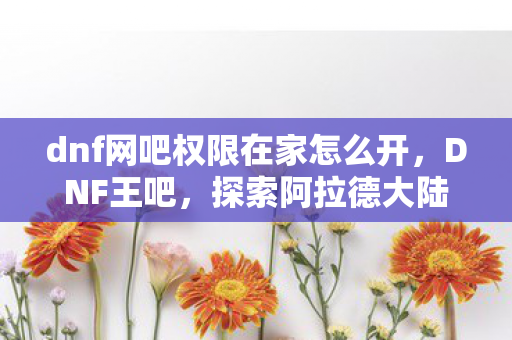 dnf网吧权限在家怎么开，DNF王吧，探索阿拉德大陆的无限可能
