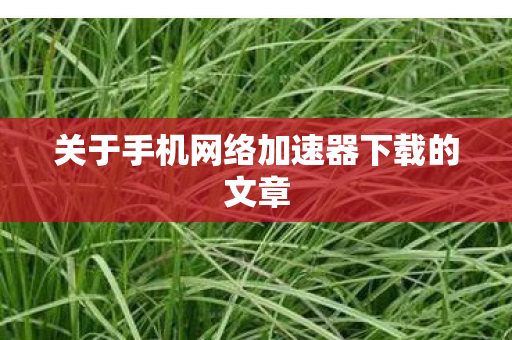 关于手机网络加速器下载的文章