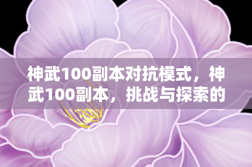 神武100副本对抗模式，神武100副本，挑战与探索的无限可能