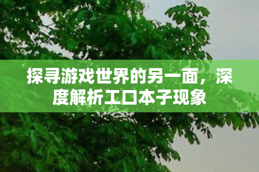 探寻游戏世界的另一面，深度解析工口本子现象