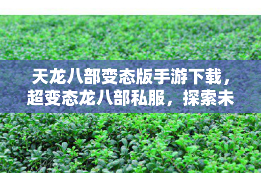 天龙八部变态版手游下载，超变态龙八部私服，探索未知世界的奇妙之旅