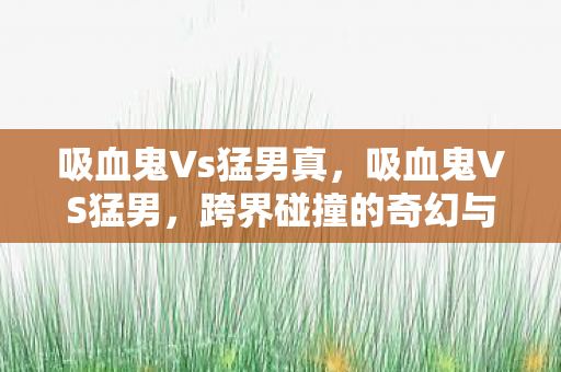 吸血鬼Vs猛男真，吸血鬼VS猛男，跨界碰撞的奇幻与现实