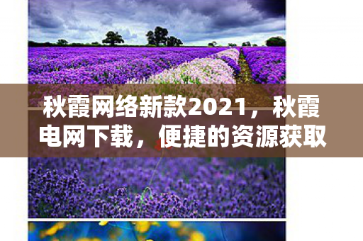 秋霞网络新款2021，秋霞电网下载，便捷的资源获取与高效管理
