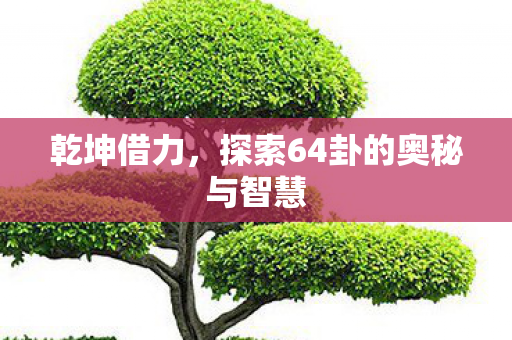 乾坤借力，探索64卦的奥秘与智慧