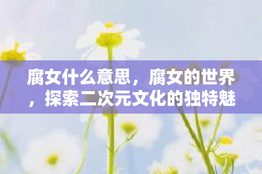 腐女什么意思，腐女的世界，探索二次元文化的独特魅力