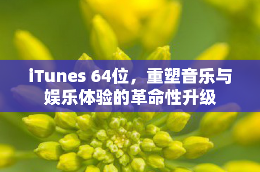 iTunes 64位，重塑音乐与娱乐体验的革命性升级