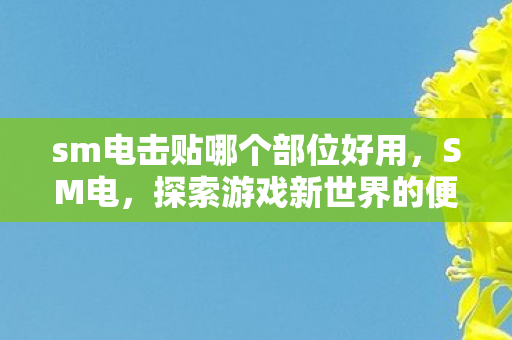 sm电击贴哪个部位好用，SM电，探索游戏新世界的便捷通道