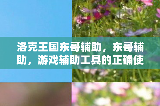 洛克王国东哥辅助，东哥辅助，游戏辅助工具的正确使用与注意事项