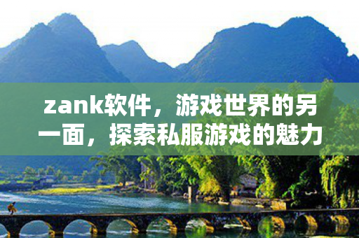 zank软件，游戏世界的另一面，探索私服游戏的魅力与风险