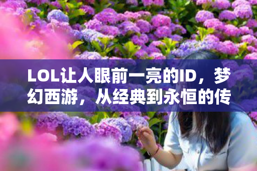 LOL让人眼前一亮的ID，梦幻西游，从经典到永恒的传奇之旅