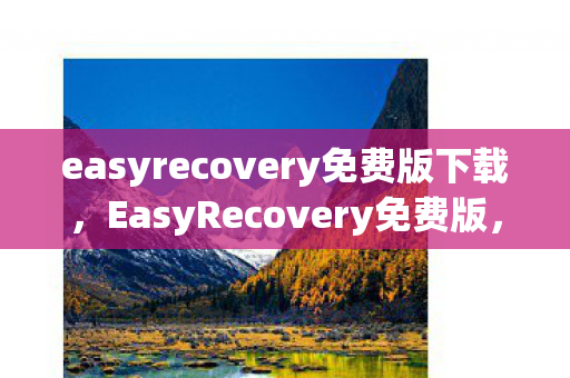 easyrecovery免费版下载，EasyRecovery免费版，数据恢复的新选择