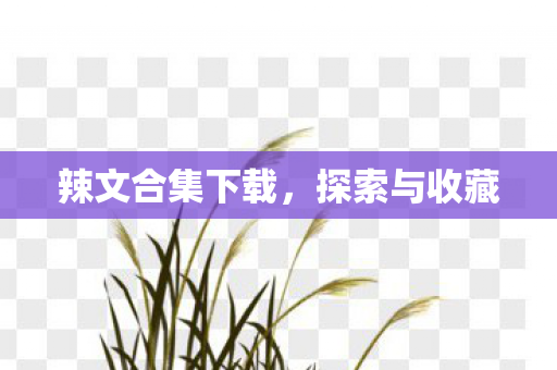 辣文合集下载，探索与收藏