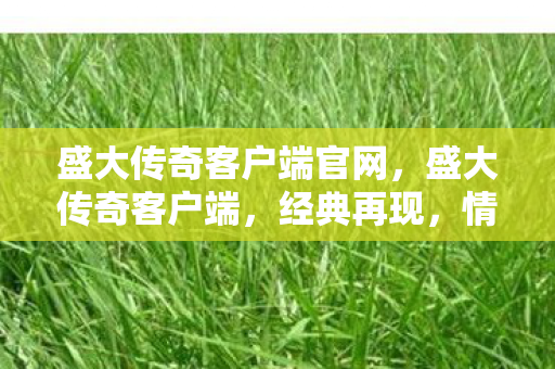 盛大传奇客户端官网，盛大传奇客户端，经典再现，情怀依旧