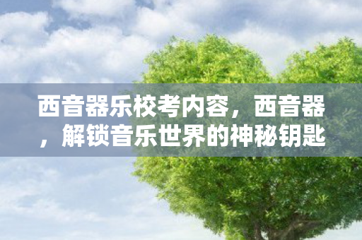 西音器乐校考内容，西音器，解锁音乐世界的神秘钥匙