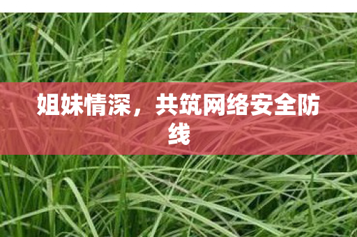 姐妹情深，共筑网络安全防线