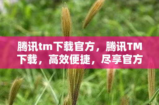 腾讯tm下载官方，腾讯TM下载，高效便捷，尽享官方体验