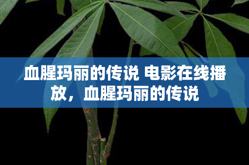 血腥玛丽的传说 电影在线播放，血腥玛丽的传说