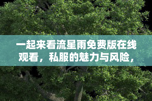 一起来看流星雨免费版在线观看，私服的魅力与风险，探索未知的游戏世界