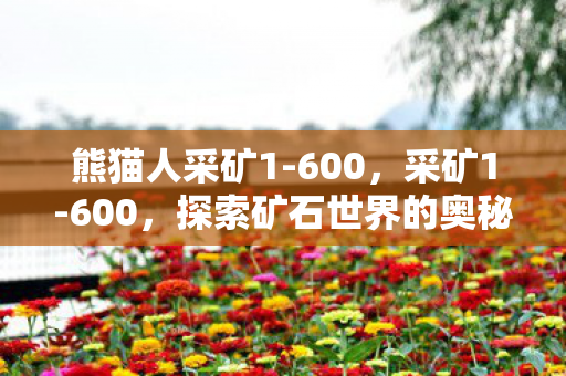 熊猫人采矿1-600，采矿1-600，探索矿石世界的奥秘