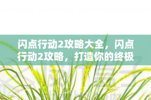 闪点行动2攻略大全，闪点行动2攻略，打造你的终极战术小队