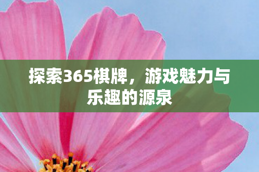 探索365棋牌，游戏魅力与乐趣的源泉