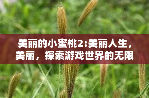 美丽的小蜜桃2:美丽人生，美丽，探索游戏世界的无限可能