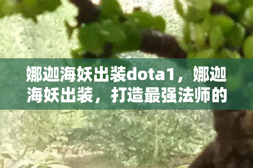娜迦海妖出装dota1，娜迦海妖出装，打造最强法师的装备指南