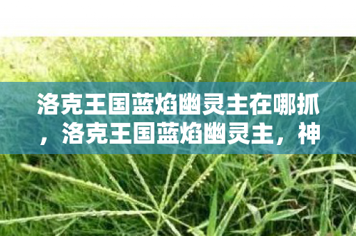 洛克王国蓝焰幽灵主在哪抓，洛克王国蓝焰幽灵主，神秘与力量的化身