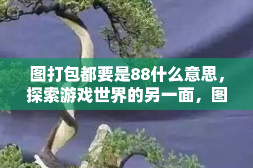 图打包都要是88什么意思，探索游戏世界的另一面，图打包与官方体验的深度对比