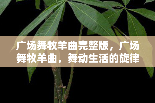 广场舞牧羊曲完整版，广场舞牧羊曲，舞动生活的旋律，传递社区的温暖