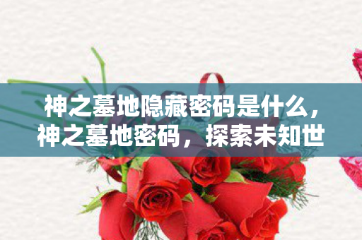 神之墓地隐藏密码是什么，神之墓地密码，探索未知世界的神秘钥匙