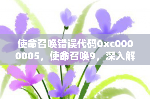 使命召唤错误代码0xc0000005，使命召唤9，深入解析游戏错误与解决方案