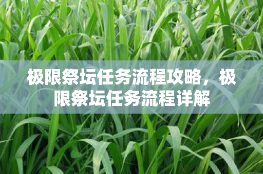 极限祭坛任务流程攻略，极限祭坛任务流程详解