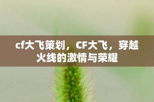 cf大飞策划，CF大飞，穿越火线的激情与荣耀