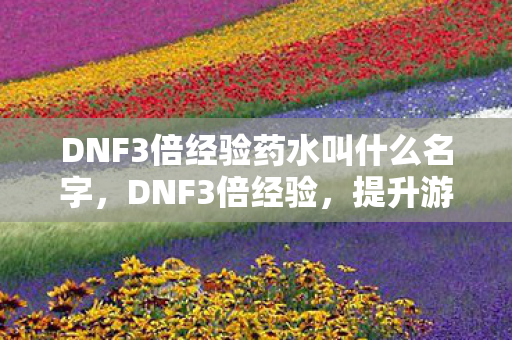 DNF3倍经验药水叫什么名字，DNF3倍经验，提升游戏效率与乐趣的秘诀
