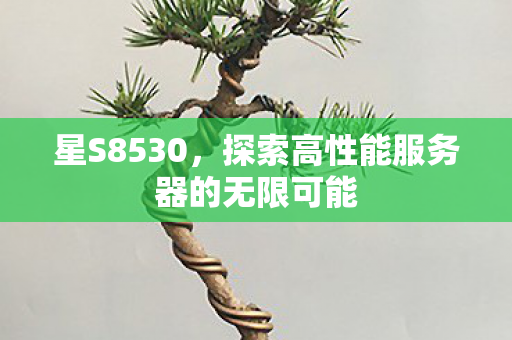 星S8530，探索高性能服务器的无限可能