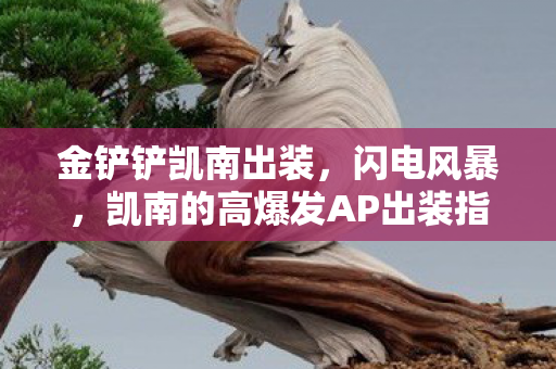 金铲铲凯南出装，闪电风暴，凯南的高爆发AP出装指南