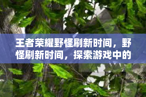 王者荣耀野怪刷新时间，野怪刷新时间，探索游戏中的生态节奏