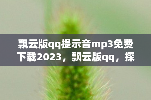 飘云版qq提示音mp3免费下载2023，飘云版qq，探索云端社交新体验