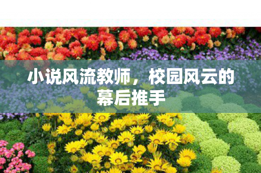 小说风流教师，校园风云的幕后推手