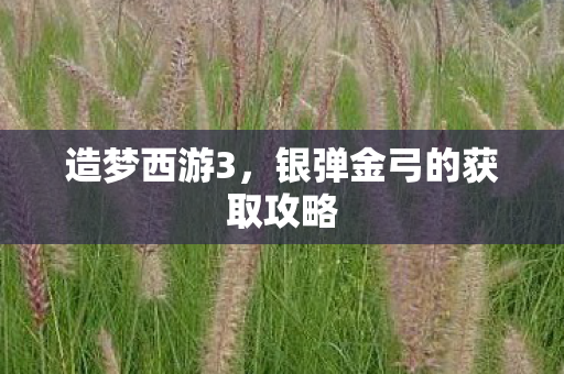 造梦西游3,银弹金弓的获取攻略 造梦西游3,银弹金弓的获取攻略