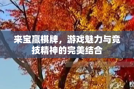来宝赢棋牌，游戏魅力与竞技精神的完美结合