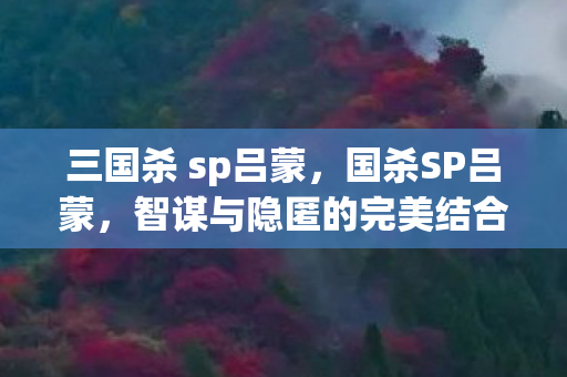 三国杀 sp吕蒙，国杀SP吕蒙，智谋与隐匿的完美结合
