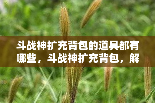 斗战神扩充背包的道具都有哪些，斗战神扩充背包，解锁无限可能，提升游戏体验