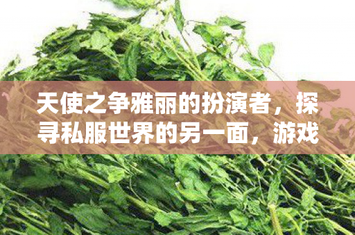 天使之争雅丽的扮演者，探寻私服世界的另一面，游戏文化的另类演绎